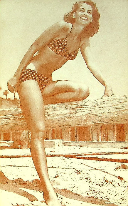 US 50s Pin Up Promo Photo Card Woman Model Bikini Gingham Print Log Driftwood 2