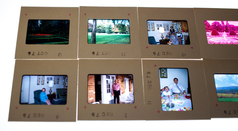 Vintage 35mm Photo Transparency Slides - Longwood Garden 1975 | Lot of 60