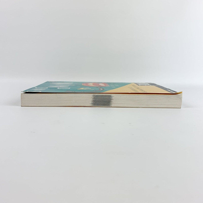 Byte's Windows Programmer's Cookbook w/ CD - John Ribar - 1994 4