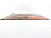 England Dan & John Ford Coley Nights Are Forever Record BT 89517 Atlantic 1976 4