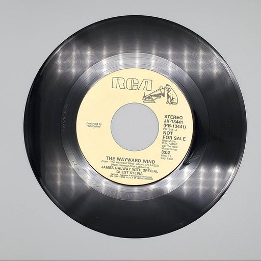 James Galway The Wayward Wind Single Record RCA 1982 JK-13441 PROMO 2