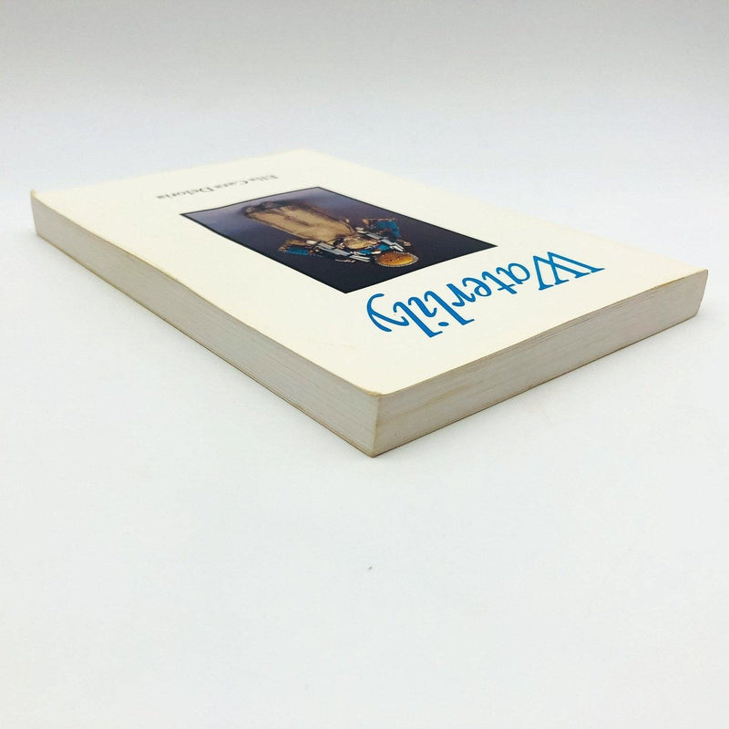 Waterlily Paperback Ella Cara Deloria 1988 Agnes Picotte Biographical Sketch 5