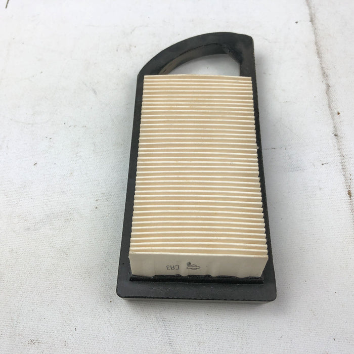 Briggs and Stratton 797007 794421 Filter For Lawn Mower Engine New OEM NOS