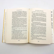 The Falcon At The Portal Hardcover Elizabeth Peters 1999 Amelia Peabody Mystery 9