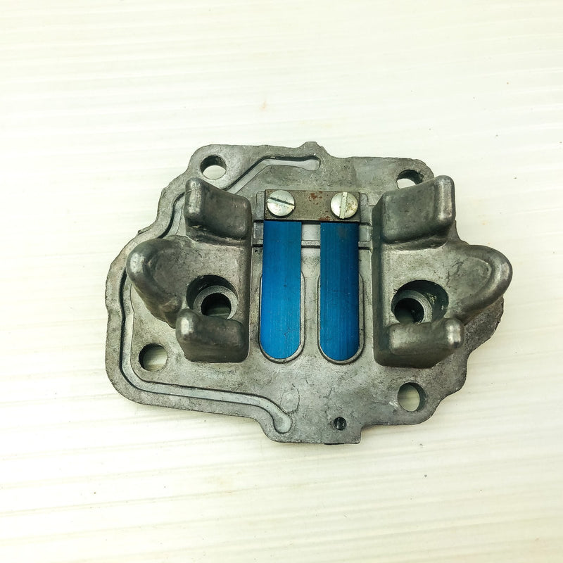 Briggs and Stratton 677362 Reed Plate Genuine OEM New NOS Replaces 602839 4