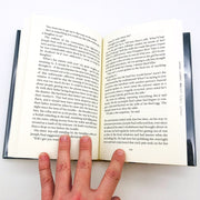 Love And Summer Hardcover William Trevor 2009 1st Edition Ireland Love Affair 9