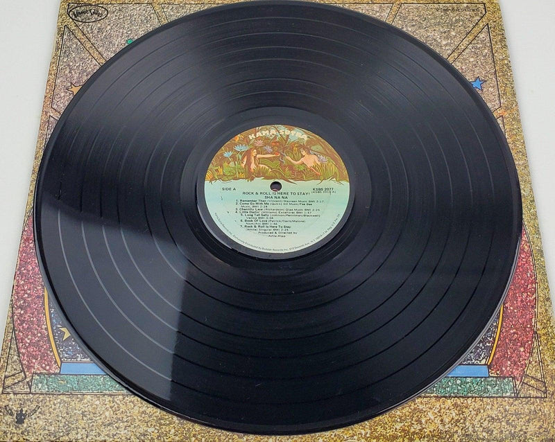 SHA NA NA Rock And Roll Is Here To Stay 33 RPM LP Record Kama Sutra Records 1973 5