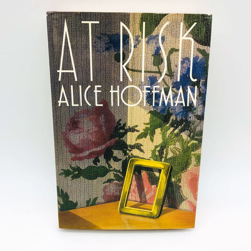 Alice Hoffman Book At Risk Hardcover 1988 1st Edition Aids Epidemic Children 1