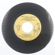 Consumer Rapport Ease On Down The Road 45 Single Record Wing And A Prayer 1975 1