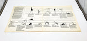 Jane Fonda Jane Fonda's Workout Record 33 RPM Double LP Record Columbia 1981 5