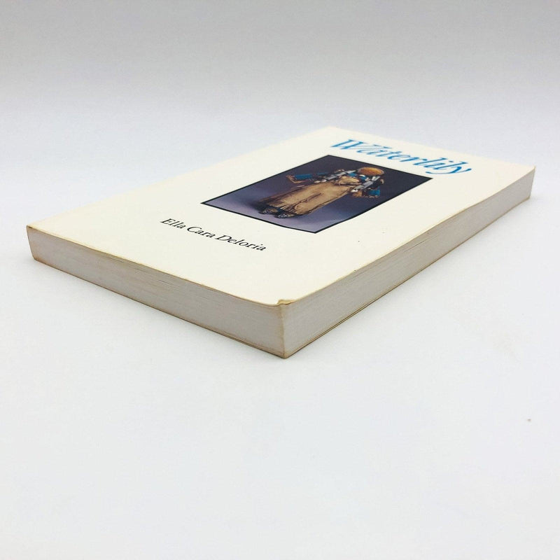 Waterlily Paperback Ella Cara Deloria 1988 Agnes Picotte Biographical Sketch 4