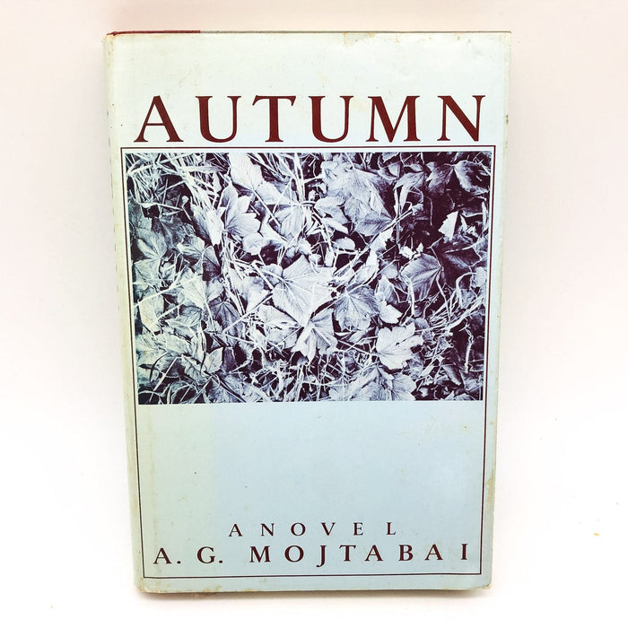 Autumn Hardcover A. G. Mojtabai 1982 Old Age Relationships Strangers 1st Edition 1