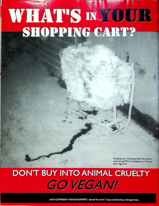 Outrage Newsletter 2003 # 6 MFA Exposes Egg Industry Cruelty 3