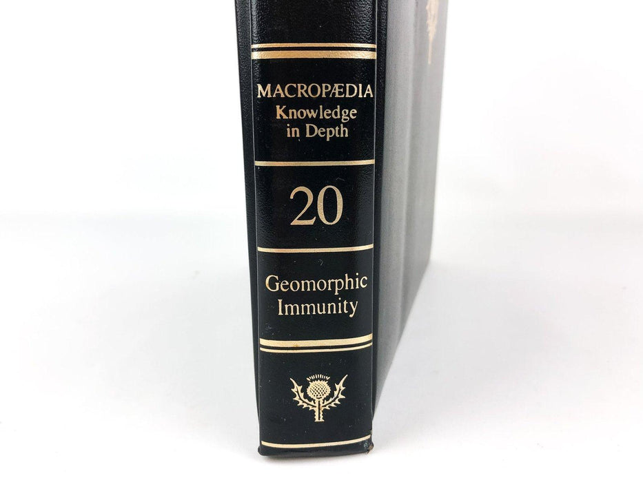 Britannica Macropaedia Knowledge in Depth Volume 20 Ed. 15 Geomorphic Immunity 3