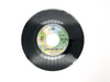 Larry Groce Junk Food Junkie Record 45 RPM Single WBS 8165 Warner Bros 1975 3