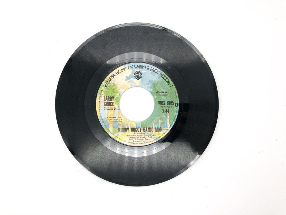 Larry Groce Junk Food Junkie Record 45 RPM Single WBS 8165 Warner Bros 1975 3