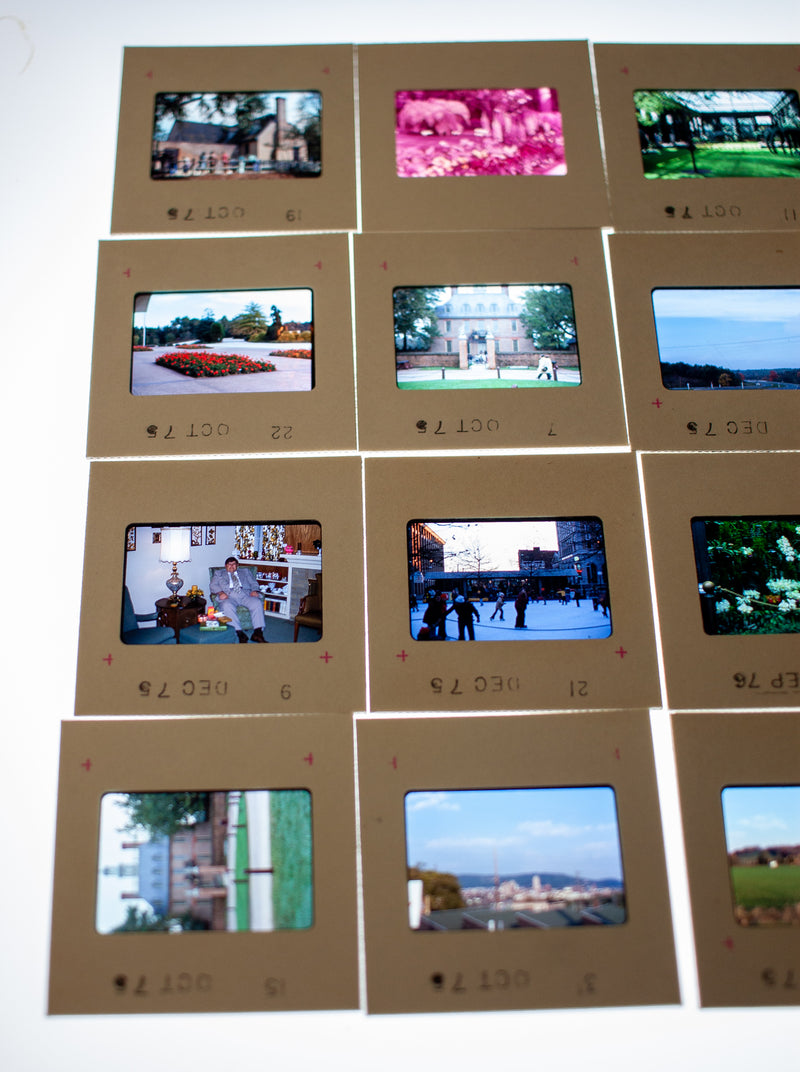 Vintage 35mm Photo Transparency Slides - Longwood Garden 1975 | Lot of 60