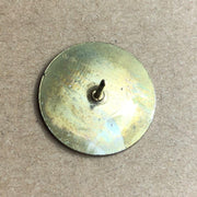 Hudson County New Jersey Pin Pinback Gateway to America Tomatoe Festival Logo 3