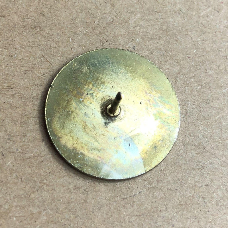 Hudson County New Jersey Pin Pinback Gateway to America Tomatoe Festival Logo 3