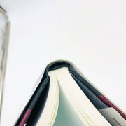 Alice Hoffman Book Local Girls Hardcover 1999 1st Edition US 20th Century Life 10