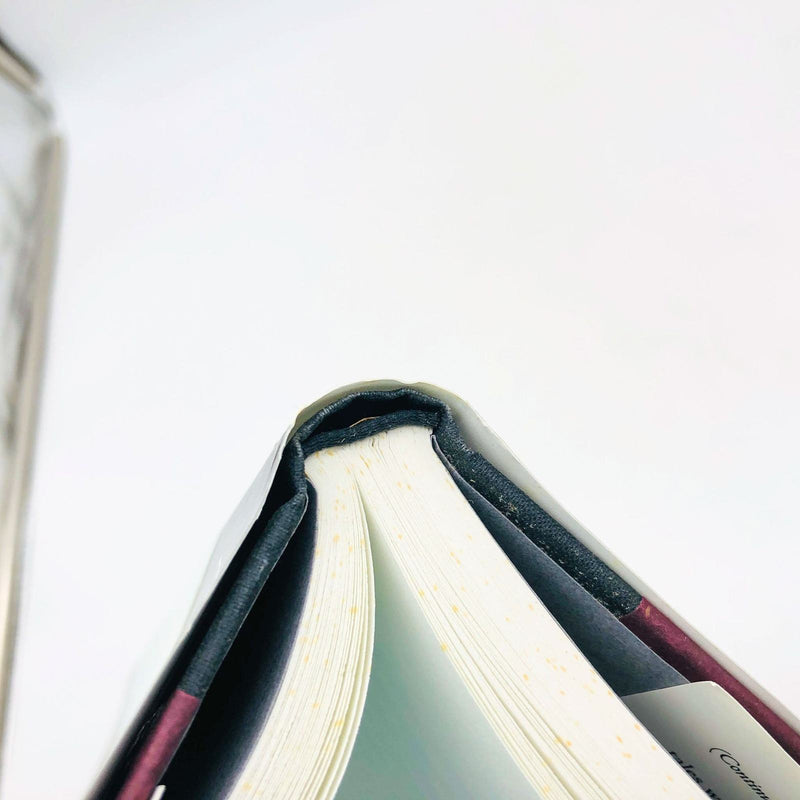 Alice Hoffman Book Local Girls Hardcover 1999 1st Edition US 20th Century Life 10