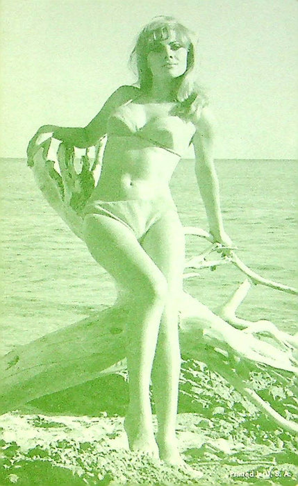 Elke Sommer Pin Up Promo Photo Card US 60s German Actress Bikini Driftwood Beach