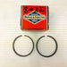 Briggs and Stratton 678424 Piston Ring Set for Lawn Mower Engine Genuine OEM New 1