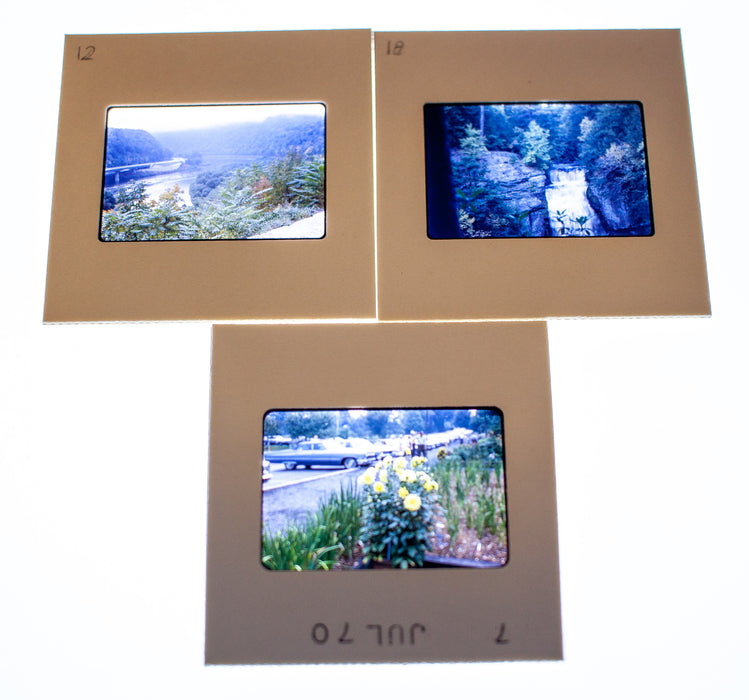 Vintage 35mm Photo Transparency Slides - Nature 1970 | Lot of 3