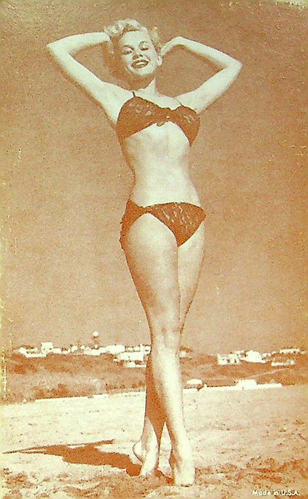 US 50s Pin Up Promo Photo Card Woman Model Bikini Swimsuit Lingerie Beach Houses