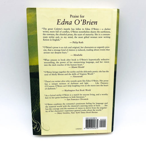 Wild Decembers Hardcover Edna O'Brien 2000 Ireland Brothers Sisters Farm 1st Ed 2