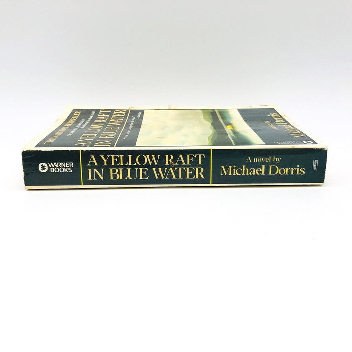 A Yellow Raft In Blue Water Paperback Michael Dorris 1988 Native American Women 3