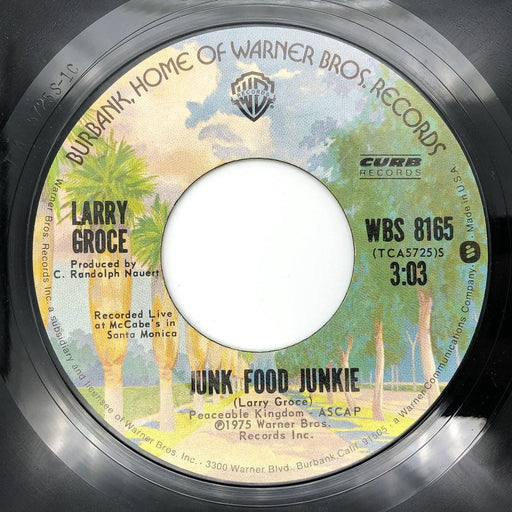 Larry Groce Junk Food Junkie Record 45 RPM Single WBS 8165 Warner Bros 1975 1