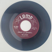 The Lovers w/ Ray Ellis Gotta Whole Lot Of Lovin' To Do Record 45 Single 1957 2