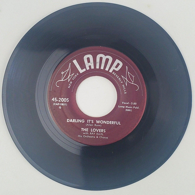 The Lovers w/ Ray Ellis Gotta Whole Lot Of Lovin' To Do Record 45 Single 1957 2