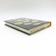 Love And Summer Hardcover William Trevor 2009 1st Edition Ireland Love Affair 5