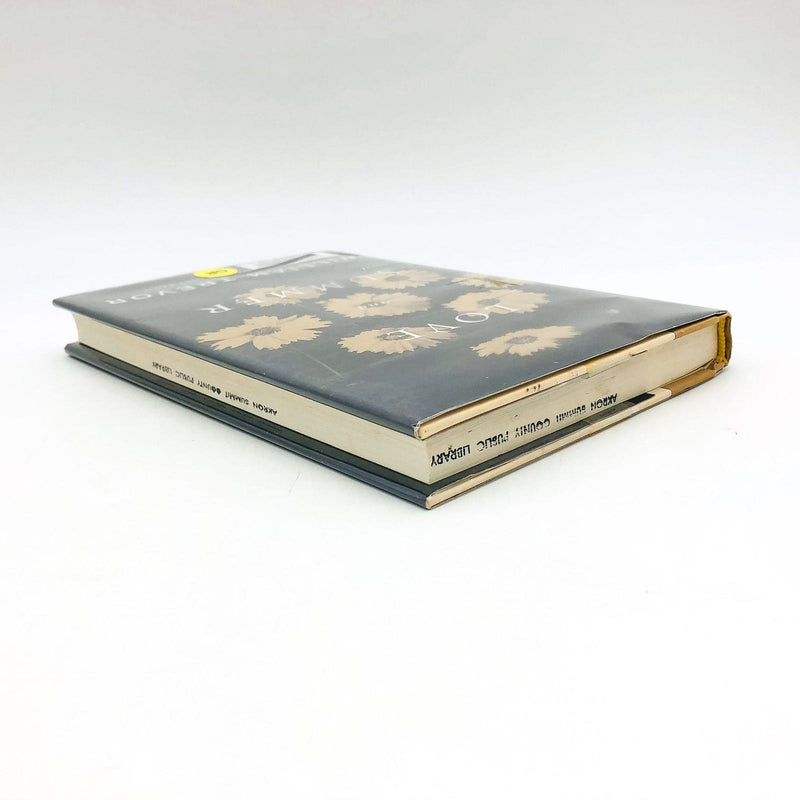 Love And Summer Hardcover William Trevor 2009 1st Edition Ireland Love Affair 5