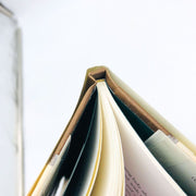 Iris Murdoch Book Something Special Hardcover 2000 1st Edition Irish Girl Marry 10