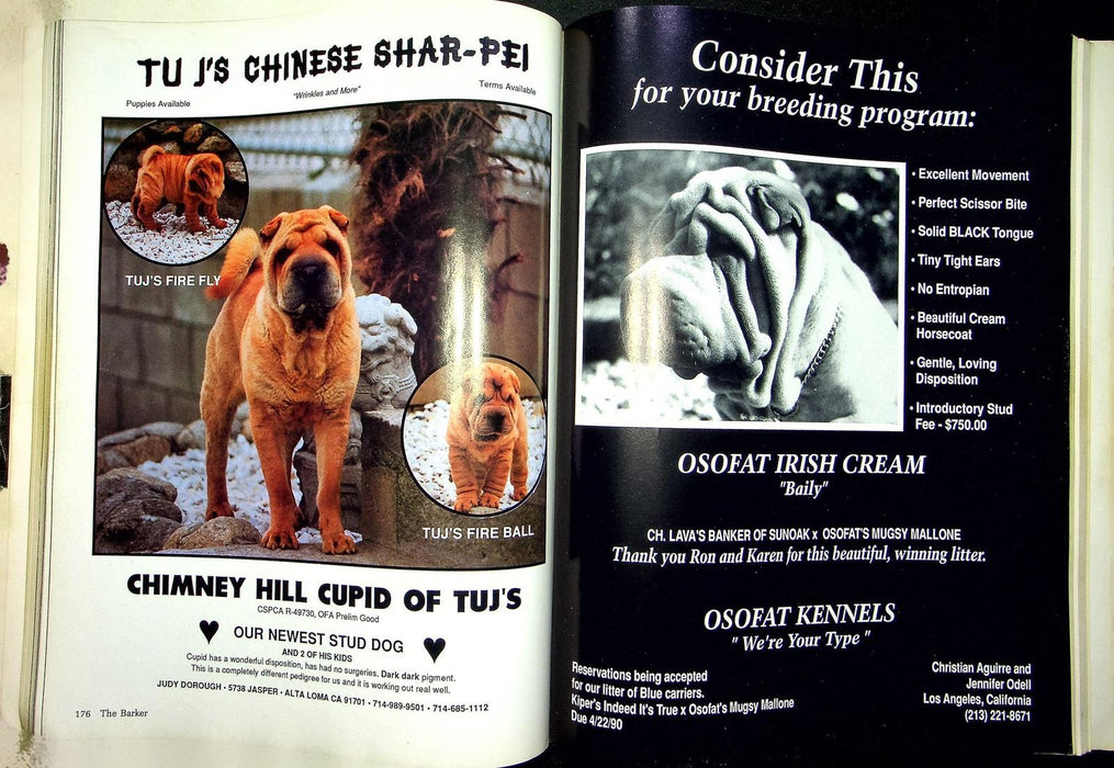 The Barker Magazine May June 1990 Shar-Pei Dog AKC Flea Bite Allergy Breeders