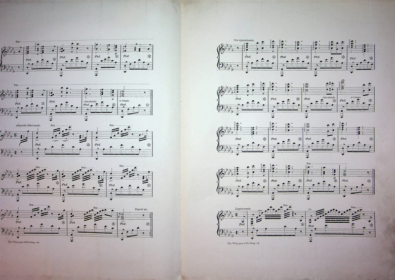 The Whippoor-Wills Song Fatasie Vintage Sheet Music Ruby J Stansberry 1908 Piano 3