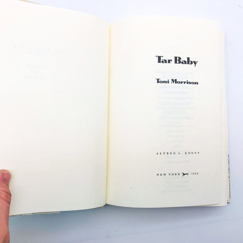 Tar Baby HC Toni Morrison 1993 African Americans Love Story Social Struggles 7