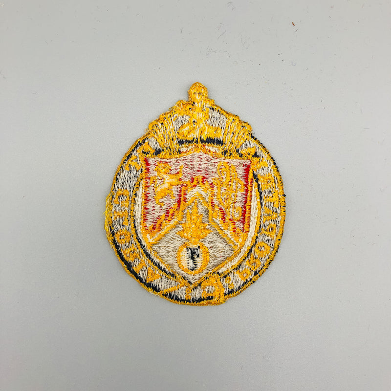 Vintage 107th Infantry Regiment Patch US Army Silk Stocking Elites No Glow