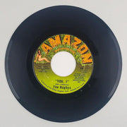 The Rugbys You, I / Stay With Me Record 45 RPM Single #1 Amazon Records 1969 2