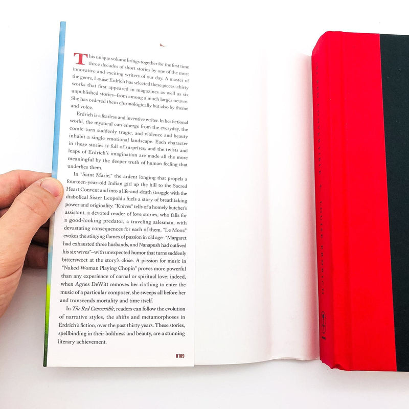 The Red Convertible Hardcover Louise Erdrich 2009 Native American Family Crisis 6