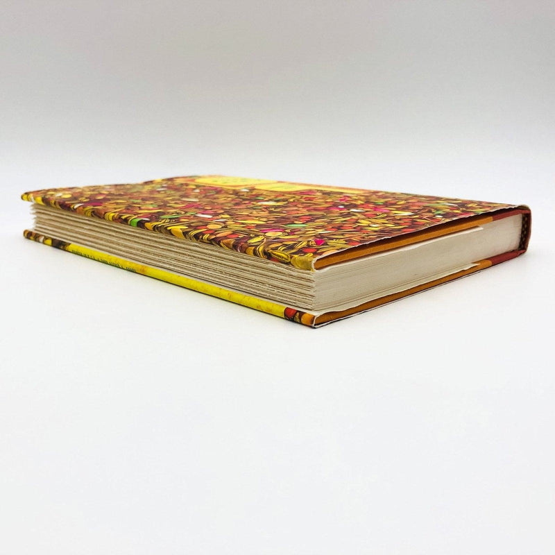 A New World Hardcover Amit Chaudhuri 2000 India Child Custody Father Sons 5