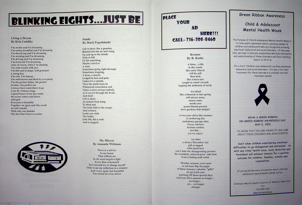 Blinking Eights Magazine Zine March-April 2003 Buffalo NY Writing Local Authors