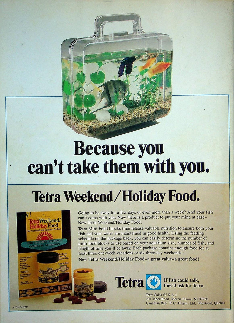 Aquarium Fish Magazine Jul/Aug 1989 Vol 1 No 6 Keeping Saltwater Angelfish 3