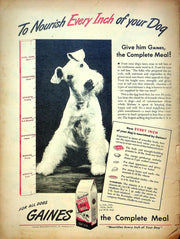 The Family Circle Magazine February 1945 Washington Cross Delaware, Vtg Ads 3