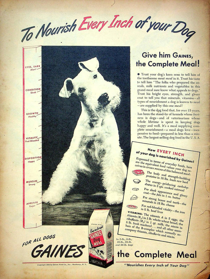 The Family Circle Magazine February 1945 Washington Cross Delaware, Vtg Ads 3