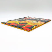 Look Seeing The Light In Art Hardcover Gillian Wolfe 2006 Painting Pictures 4