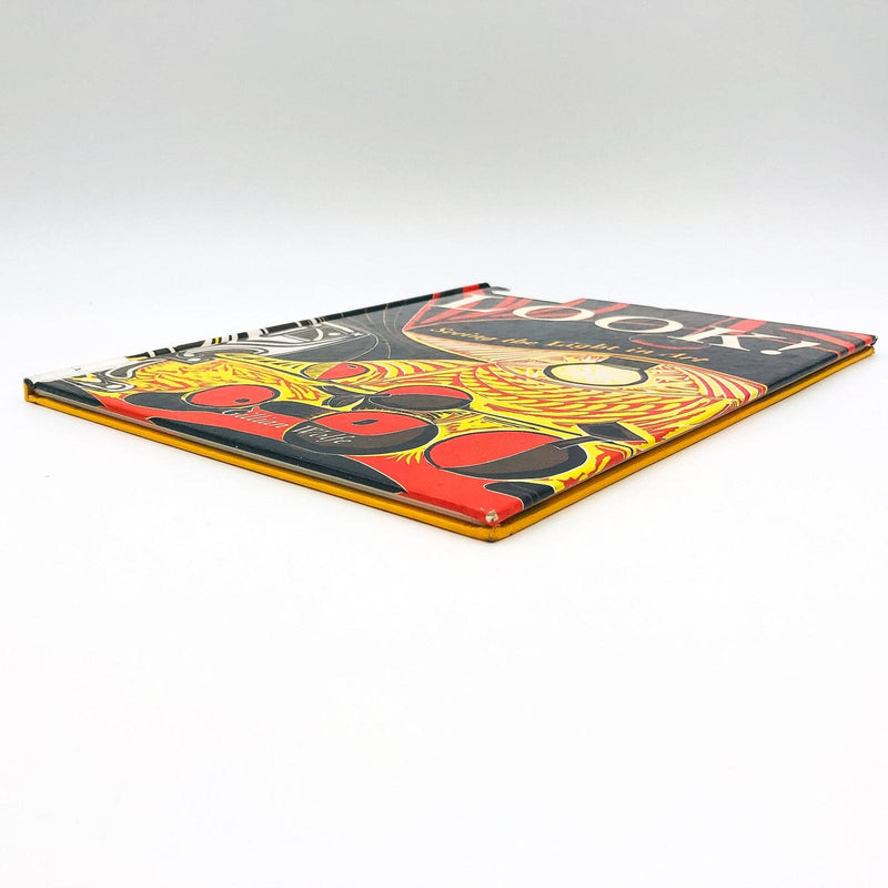 Look Seeing The Light In Art Hardcover Gillian Wolfe 2006 Painting Pictures 4